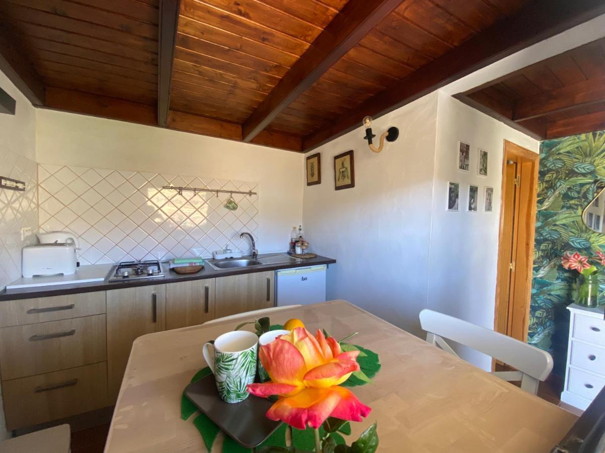 Juncalillo House Pension Gáldar Buitenkant foto